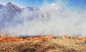 118a65cc 6198 4b90 8a4e 1c8b0b20e715