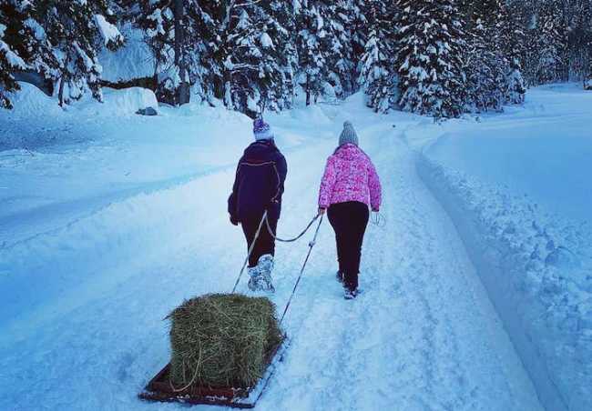 130872510 4902138423191583 3118958326803541976 o