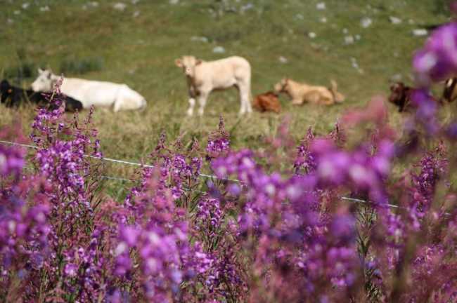 1 9xp7ocqMgnVUmHGnVbsKOQ