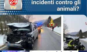 PHOTO 2025 11 05 16 22 40