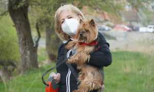 Schermata 2021 02 20 alle 16.17.30