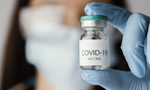 Schermata 2021 05 08 alle 18.32.38 copia images articles vco ossola 2022 febbraio thumb medium650 0