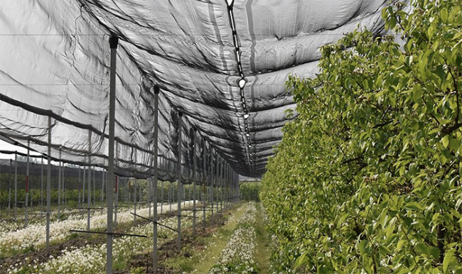 Screenshot 2024 12 31 alle 09.34.38