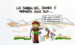 WhatsApp Image 2021 02 08 at 16.24.54