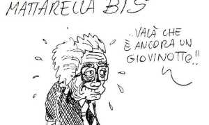 WhatsApp Image 2022 01 27 at 14.14.34