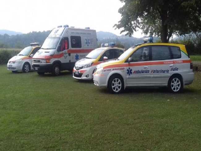 ambulanza veterinaria