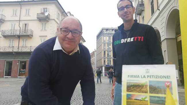 biella corradino coldiretti