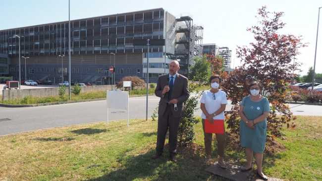 biella ospedale donazione