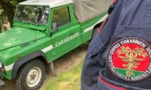 caabinieri forestali