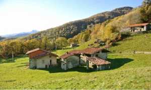 camandona carcheggio