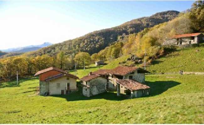 camandona carcheggio