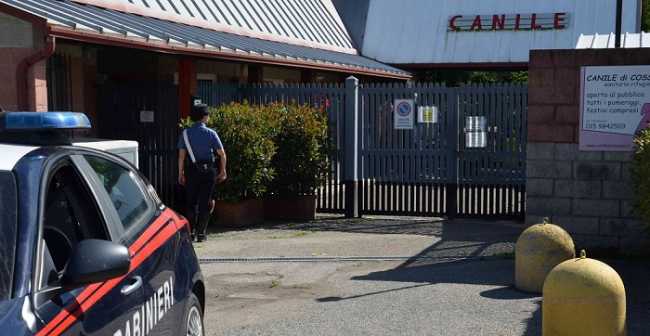 carabinieri canile cossato