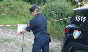carabinieri forestali biella