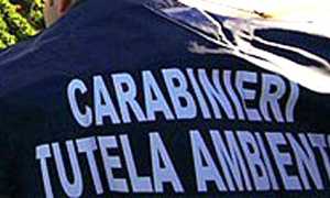 carabinieri tutela ambiente
