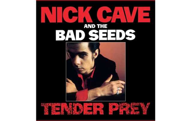 cave nick bentivoglio