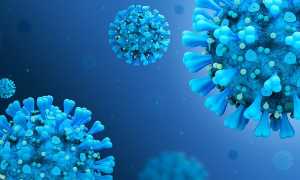 coronavirus disease covid 2019 5060427 640