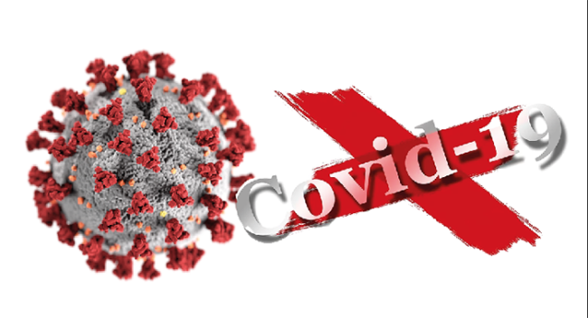 covid 19 rendering virus