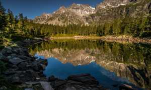 e48eff83 cf6e 41c1 ad96 83d55146a15c