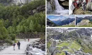 gita croppo vera fabbri trotapian mix