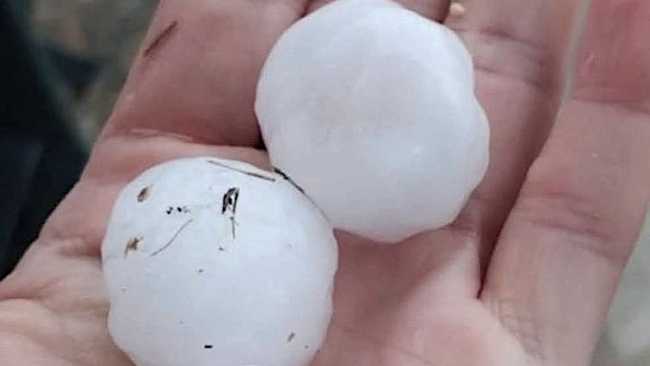 grandine novarese ago 25