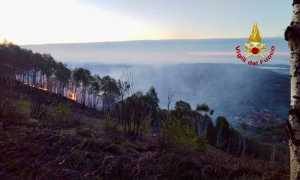 incendio donato boschi
