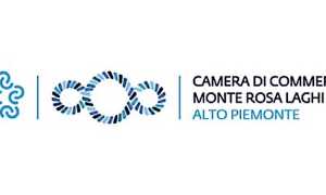 logo camera commercio