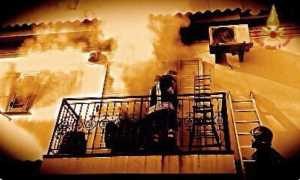 photo 2024 12 30 13 31 38