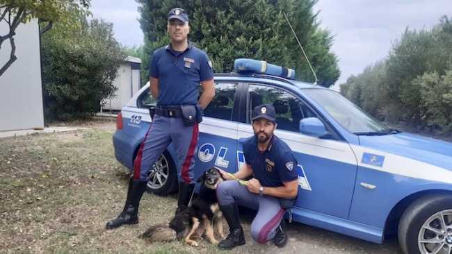 polizia contro abbandono animali
