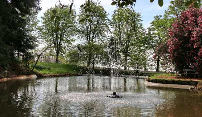 pollone parco burcina