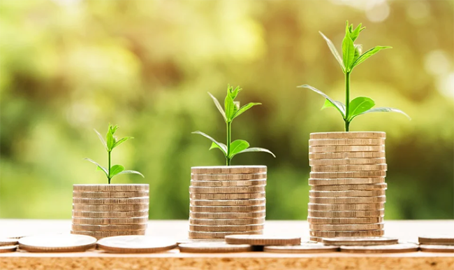 soldi monete piantine