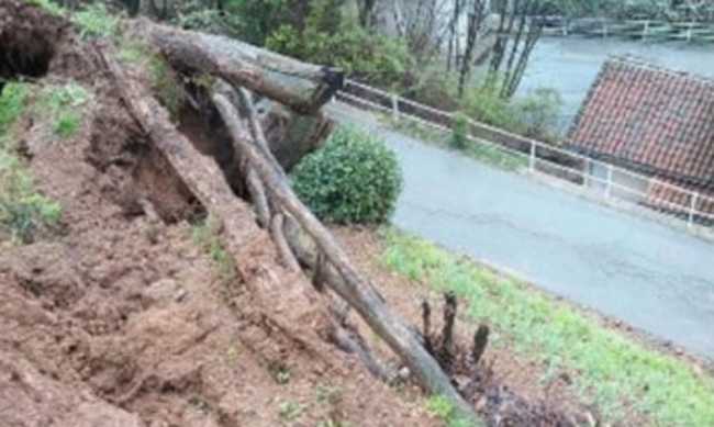 valdilana frana squisso