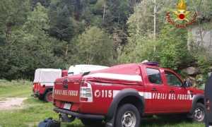 vigili del fuoco bosco a