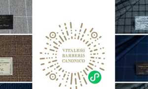 vitale barberis canonico programma