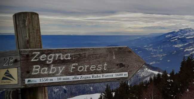 zegna forest