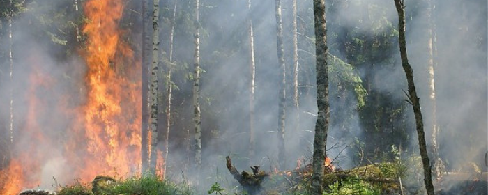 Incendi in Valsessera: le precauzioni diffuse dell'Unione Montana