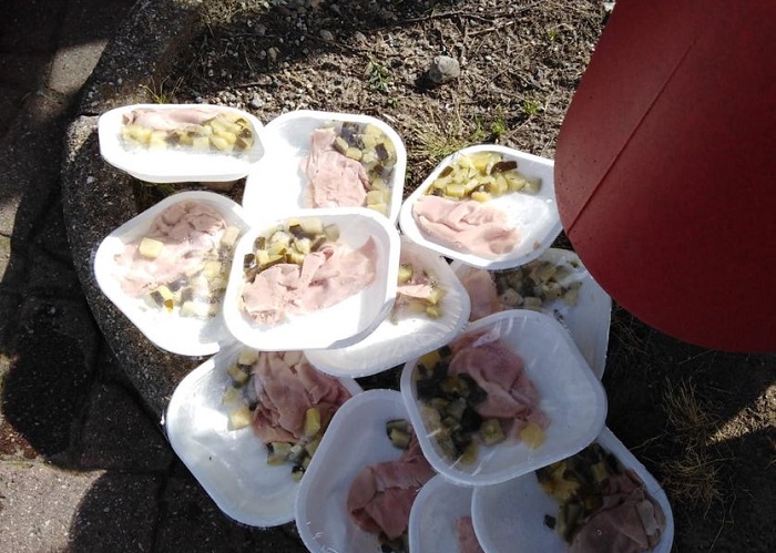 Piatti con cibo sprecato buttato nella pattumiera a Viverone