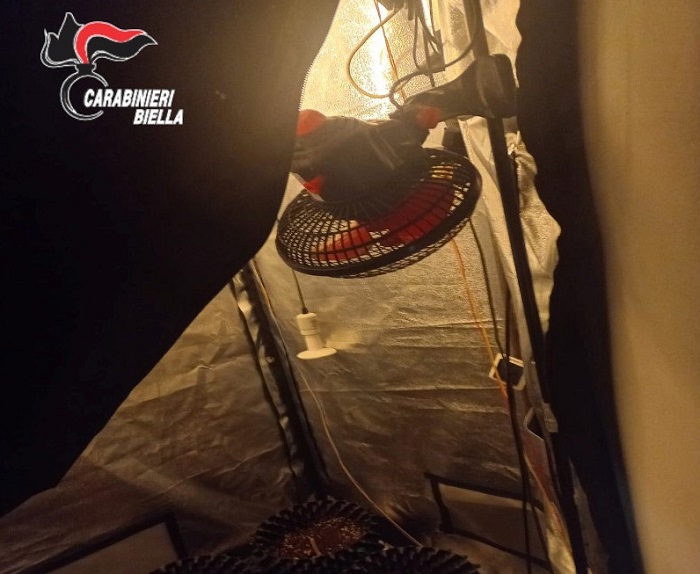 Serra casalinga per coltivare marijuana sequestrata in Valle Elvo