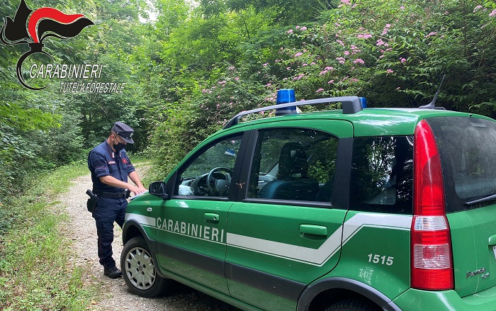 Bocconi avvelenati trovati in un sentiero della Valle Elvo