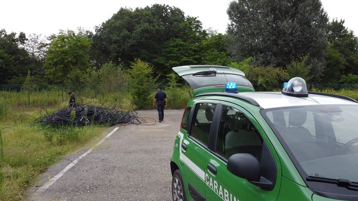 Combustione illecita di rifiuti in Valle Cervo