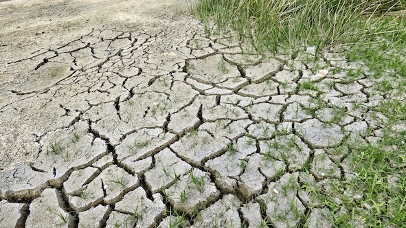 siccita terra foto