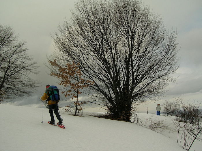 Uncem: consentire ciaspolate e scialpinismo 